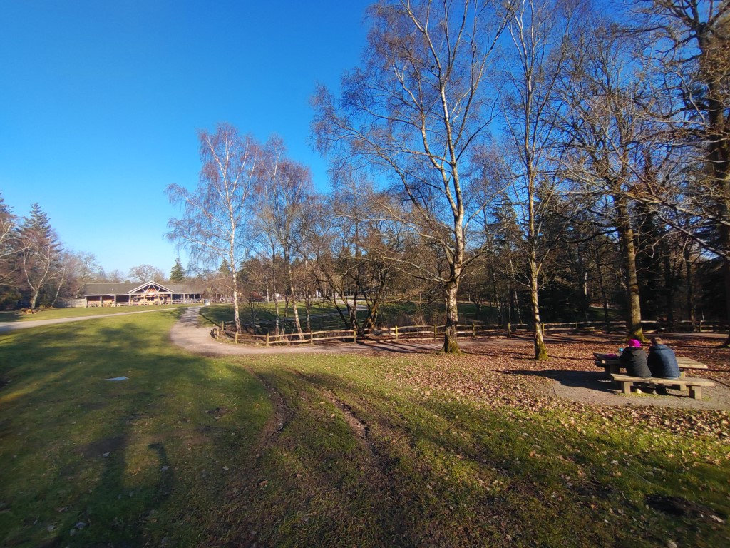 Walk at Alice Holt Forest